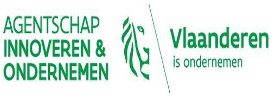 Logo VLAIO